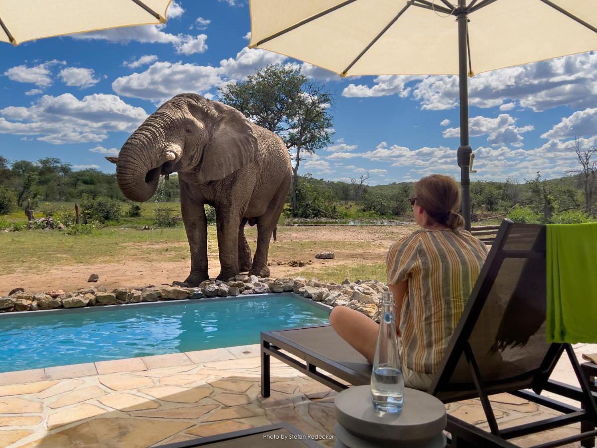 Ongava Tented Camp Okaukuejo Zewnętrze zdjęcie