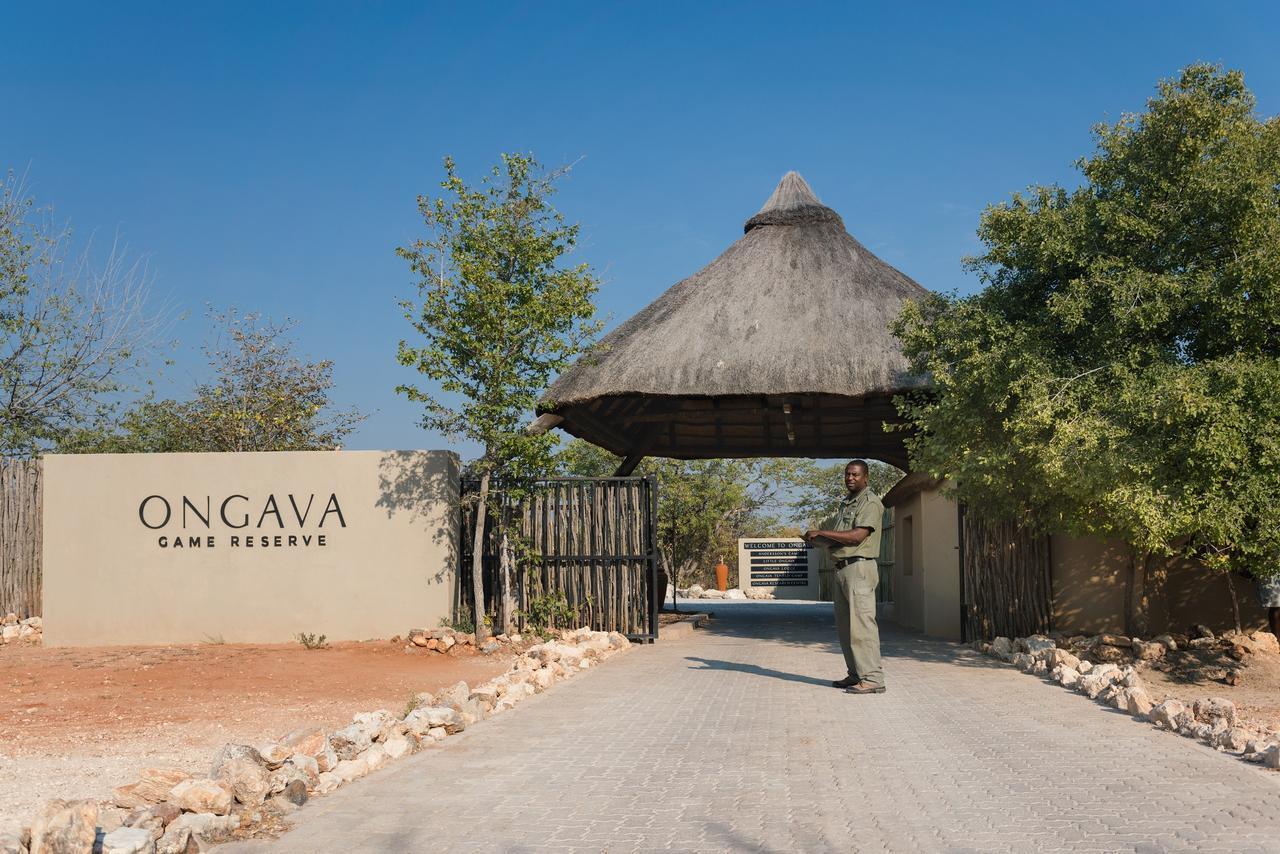 Ongava Tented Camp Okaukuejo Zewnętrze zdjęcie